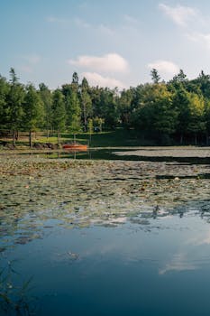 就一招屡试不爽 椰树“擦边”营销用了近20年_0302164020 新闻