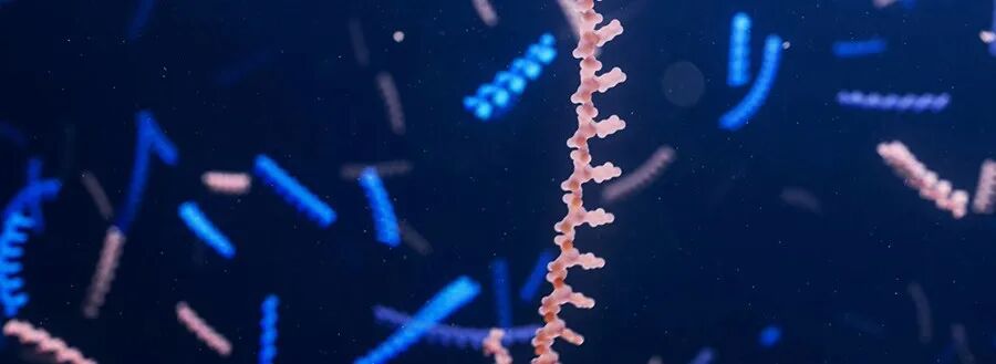  全球10多款寡核苷酸在研新药迈入3期临床！这些罕见病患者有望迎新曙光 新闻