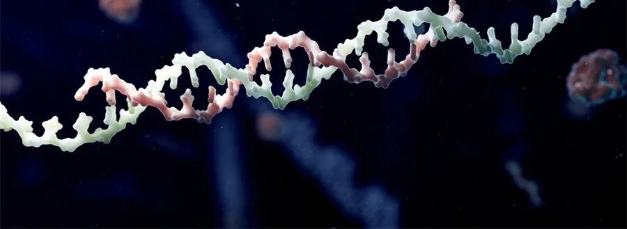  全球10多款寡核苷酸在研新药迈入3期临床！这些罕见病患者有望迎新曙光 新闻