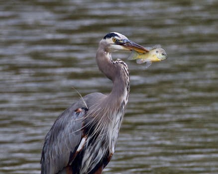 （经济观察）税费政策支持中国经济向“绿”发展 新闻