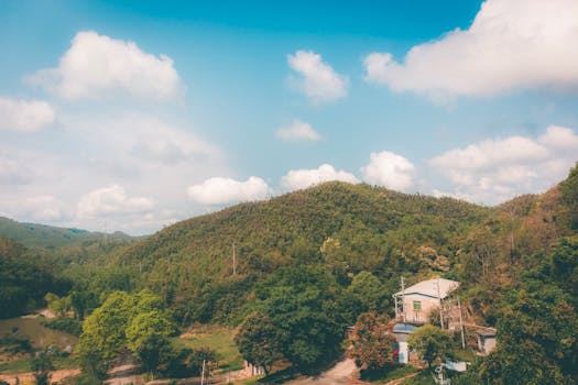 【光明论坛】树立践行正确政绩观须站稳人民立场 新闻