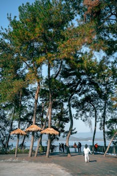 湖北省、河南省等多地相继推出汽车以旧换新补贴细则，政策进入全面落地阶段；中央指导下地方优化执行机制，助力消费升级与产业绿色转型。