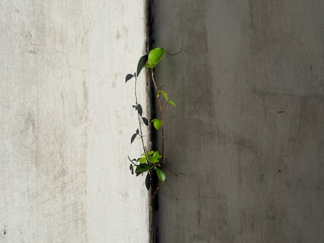  金融机构争相入驻南沙；政策红利驱动粤港澳金融融合新格局。 股票财经 金融机构争相入驻南沙；政策红利驱动粤港澳金融融合新格局。 股票财经 金融机构争相入驻南沙；政策红利驱动粤港澳金融融合新格局。 股票财经 金融机构争相入驻南沙；政策红利驱动粤港澳金融融合新格局。 股票财经