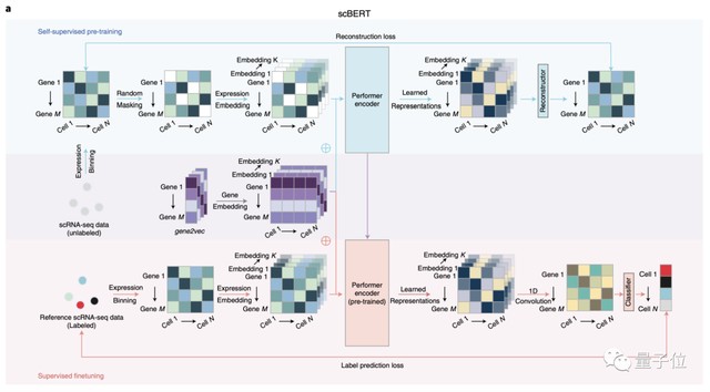  面对医疗瓶颈的焦虑：以AI算法重构细胞解读逻辑 IT技术 面对医疗瓶颈的焦虑：以AI算法重构细胞解读逻辑 IT技术 面对医疗瓶颈的焦虑：以AI算法重构细胞解读逻辑 IT技术 面对医疗瓶颈的焦虑：以AI算法重构细胞解读逻辑 IT技术 面对医疗瓶颈的焦虑：以AI算法重构细胞解读逻辑 IT技术