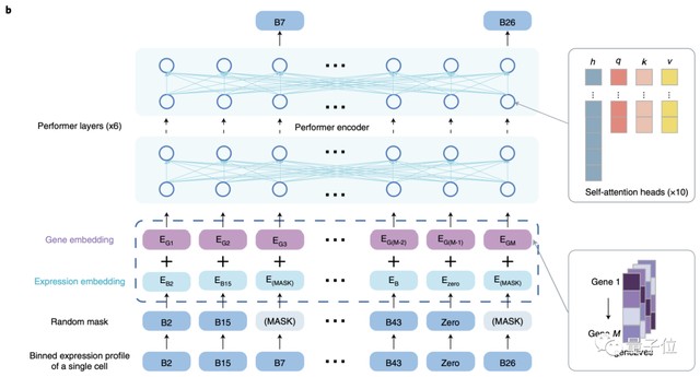  面对医疗瓶颈的焦虑：以AI算法重构细胞解读逻辑 IT技术 面对医疗瓶颈的焦虑：以AI算法重构细胞解读逻辑 IT技术 面对医疗瓶颈的焦虑：以AI算法重构细胞解读逻辑 IT技术 面对医疗瓶颈的焦虑：以AI算法重构细胞解读逻辑 IT技术 面对医疗瓶颈的焦虑：以AI算法重构细胞解读逻辑 IT技术