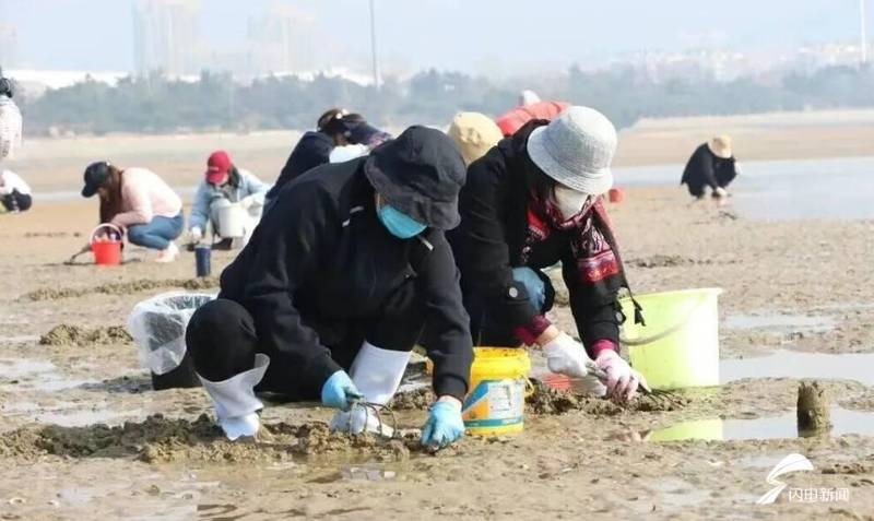  2025年清明假期启示录：微度假时代的“掘金”密码 文化旅游