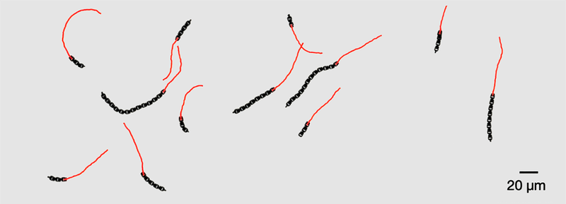  后人类时代序曲：微观世界的自主生命觉醒 IT技术 后人类时代序曲：微观世界的自主生命觉醒 IT技术 后人类时代序曲：微观世界的自主生命觉醒 IT技术