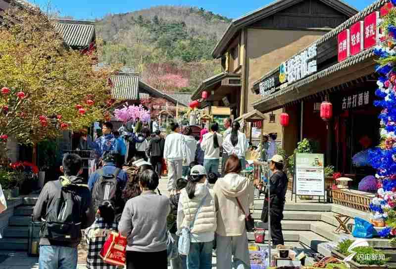  从17.62%到69.57%：解码日照清明文旅市场的结构性增长密码 文化旅游