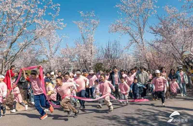  从17.62%到69.57%：解码日照清明文旅市场的结构性增长密码 文化旅游