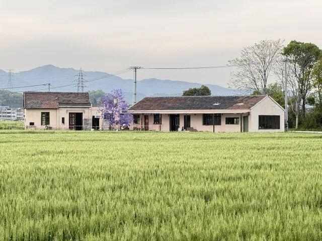 技术拆解：90后夫妻如何用「以旧修旧」唤醒荒废老屋？一套可复用的乡村改造方法论 文化旅游