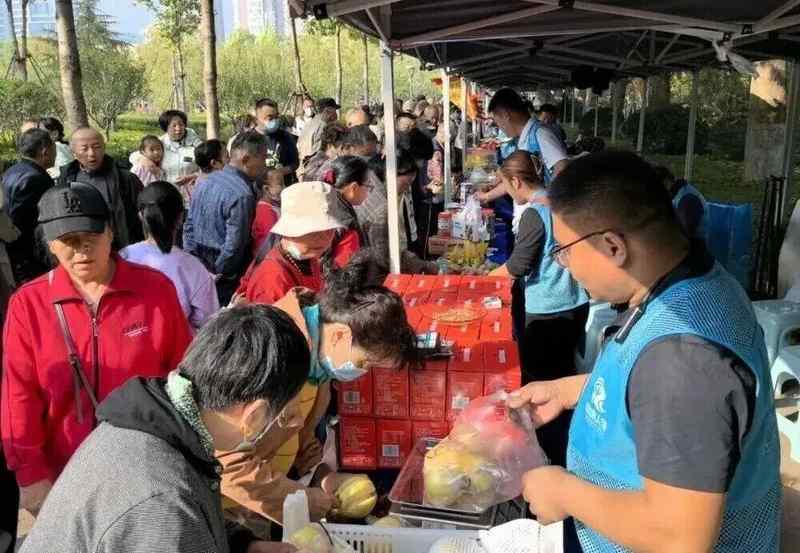  「济南清明赏花完全手册：花期节点·动线逻辑·隐藏玩法一文打尽」 文化旅游