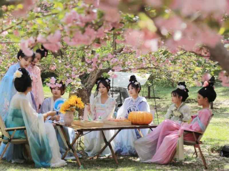  「济南清明赏花完全手册：花期节点·动线逻辑·隐藏玩法一文打尽」 文化旅游