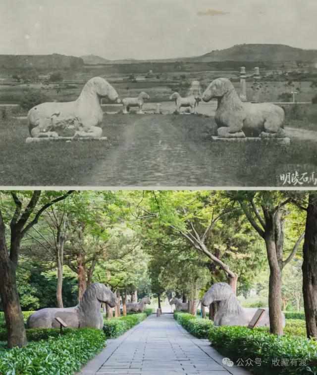  穿越时空的能源博弈：为什么老祖宗把"柴"列为生存之首 新闻