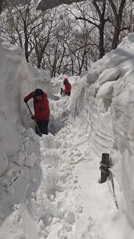  北疆积雪没过人身·南疆高温破历史极值：四月中国天气撕裂全景技术解码 新闻