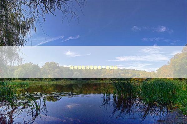 科技保险政策带来三赢局面 新闻