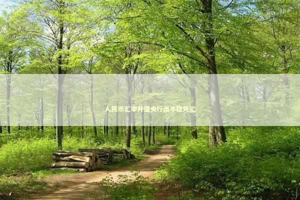 人民币汇率升值央行出手稳外汇 新闻