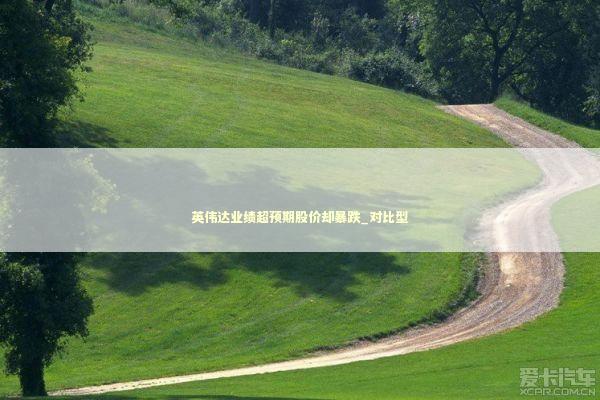 英伟达业绩超预期股价却暴跌_对比型