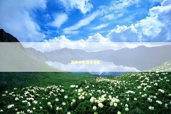 通威并购丽豪清能