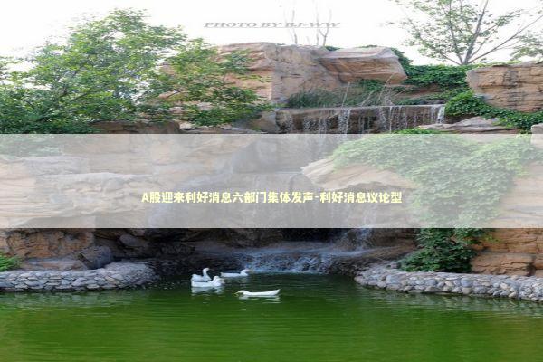 A股迎来利好消息六部门集体发声-利好消息议论型 新闻