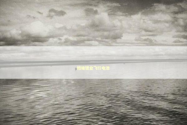 赣锋锂业飞行电池 新闻