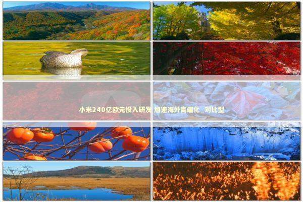 小米240亿欧元投入研发 加速海外高端化_对比型