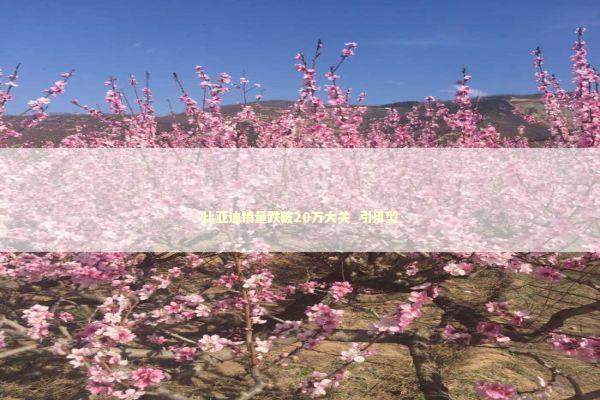 比亚迪销量跌破20万大关_引用型 新闻