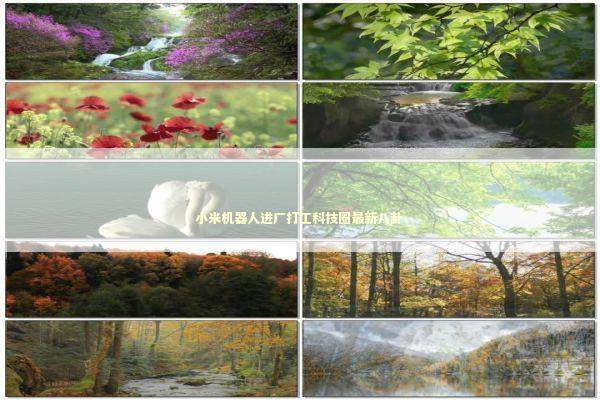 小米机器人进厂打工科技圈最新八卦 新闻