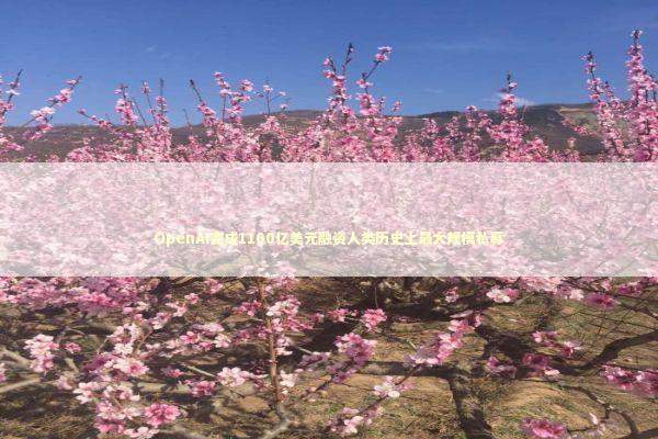 OpenAI完成1100亿美元融资人类历史上最大规模私募 新闻