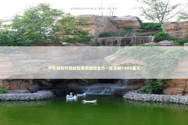 中东局势升级避险需求激增金价一度突破5400美元 新闻