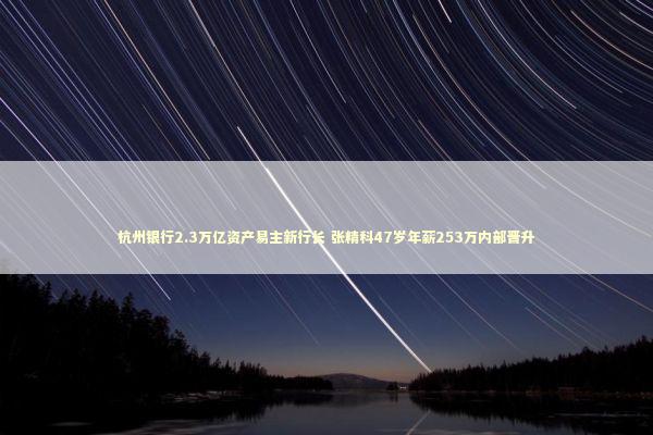 杭州银行2.3万亿资产易主新行长 张精科47岁年薪253万内部晋升