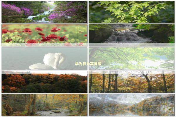 华为算力实用版 新闻