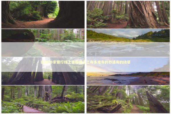 实测10家银行线上客服找人工有多难有的秒通有的绕晕 新闻