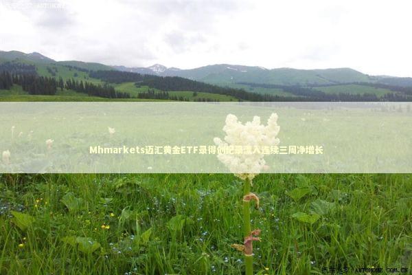 Mhmarkets迈汇黄金ETF录得创纪录流入连续三周净增长 新闻