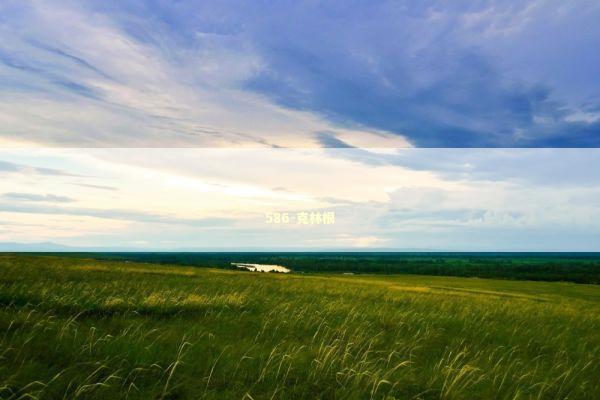 586-克林根 新闻