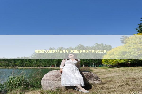 碳酸锂5天暴涨20百分号-多重因素共振下的深度分析 新闻