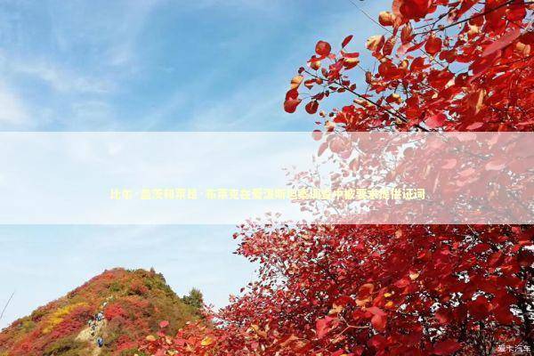 比尔·盖茨和莱昂·布莱克在爱泼斯坦案调查中被要求提供证词 新闻