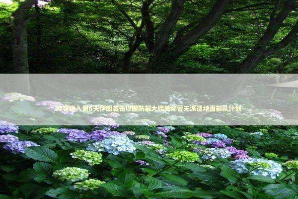 冲突进入第6天伊朗袭击以国防部大楼美称暂无派遣地面部队计划 新闻