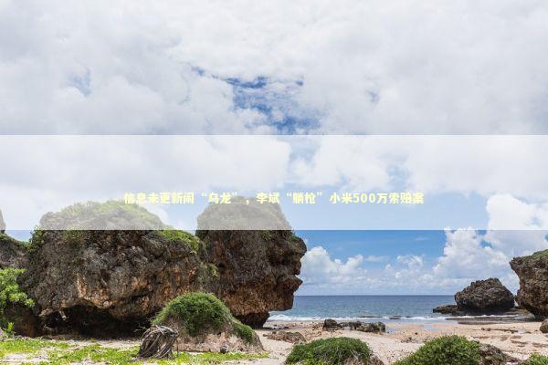 信息未更新闹“乌龙”，李斌“躺枪”小米500万索赔案 新闻