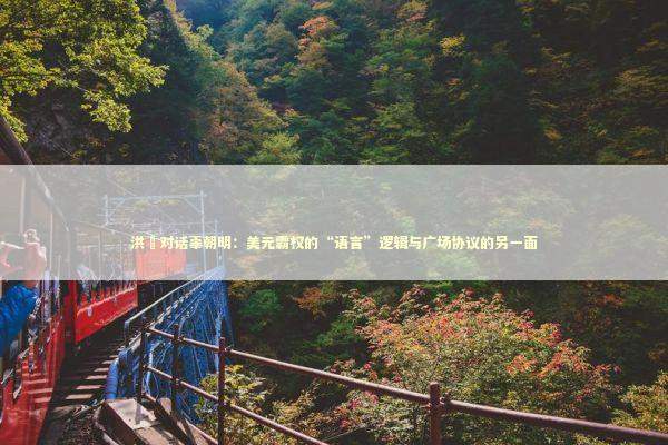 洪灝对话辜朝明：美元霸权的“语言”逻辑与广场协议的另一面 新闻