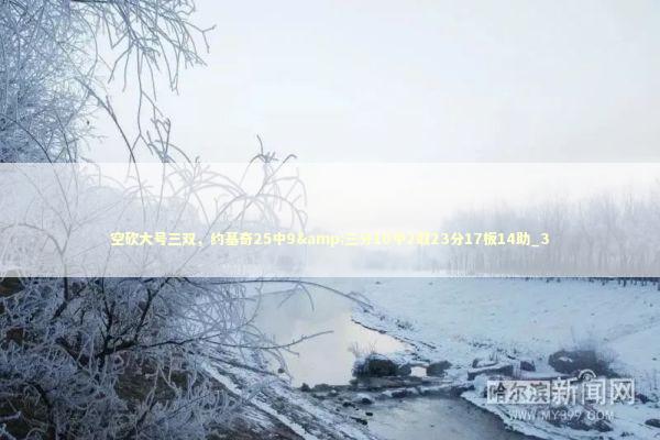 空砍大号三双，约基奇25中9&三分10中2取23分17板14助_3 新闻