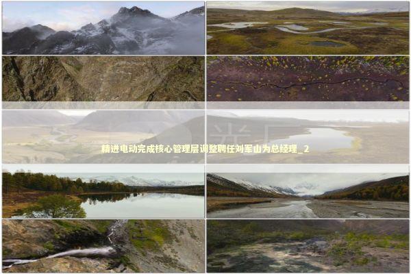 精进电动完成核心管理层调整聘任刘军山为总经理_2 新闻