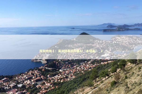 挥别林俊旸：吴泳铭再迎阿里AI“名场面”_2 新闻