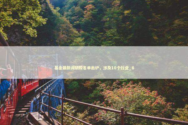 基金最新调研股名单出炉，涉及10个行业_6 新闻