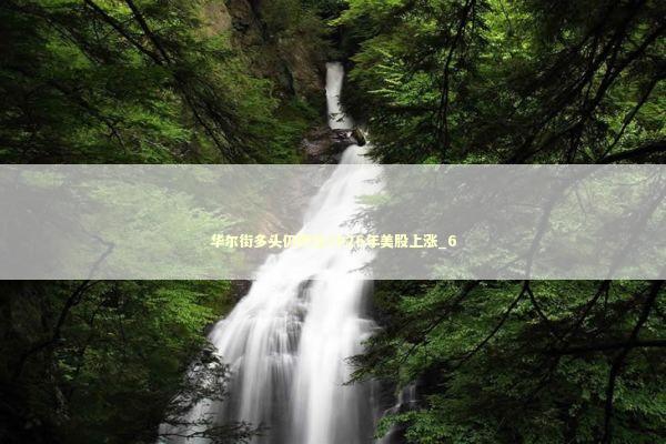 华尔街多头仍押注2026年美股上涨_6 新闻