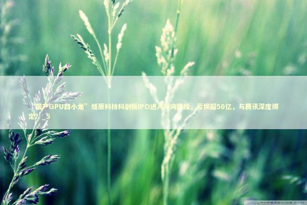 “国产GPU四小龙”燧原科技科创板IPO进入问询阶段，亏损超50亿，与腾讯深度绑定？_5 新闻