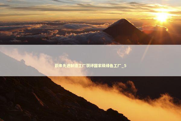 蔚来先进制造工厂获评国家级绿色工厂_5 新闻