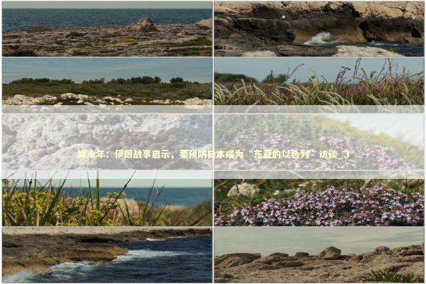 郑永年：伊朗战事启示，要预防日本成为“东亚的以色列”访谈_3 新闻