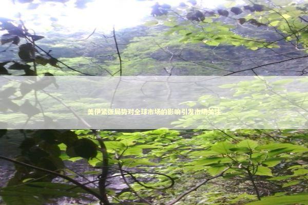 美伊紧张局势对全球市场的影响引发市场关注 新闻