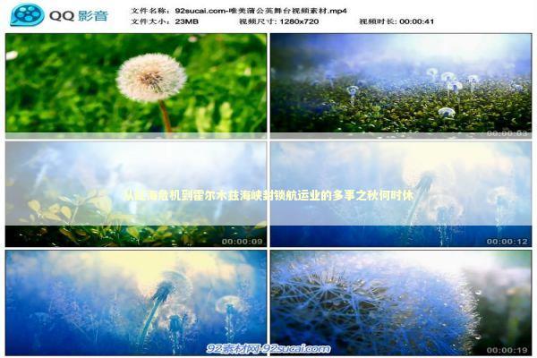 从红海危机到霍尔木兹海峡封锁航运业的多事之秋何时休 新闻