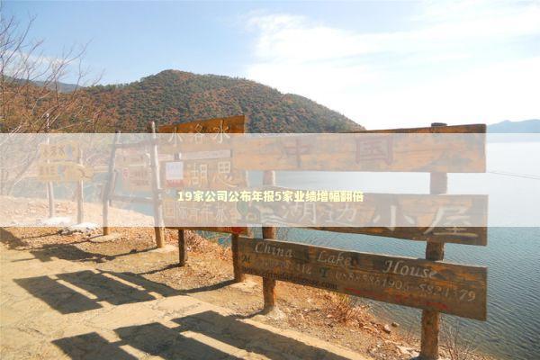 19家公司公布年报5家业绩增幅翻倍 新闻